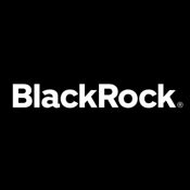 mslvx|MSLVX: BlackRock Advantage Large Cap Value Fund.